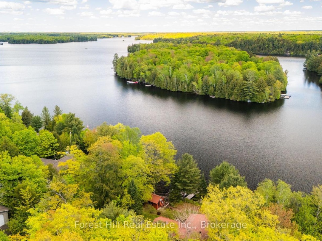 445 LORIMER LAKE ROAD, Lorimer Lake