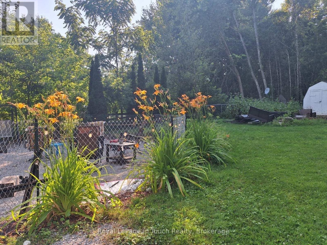 4 GRAY STREET, Severn (Coldwater)