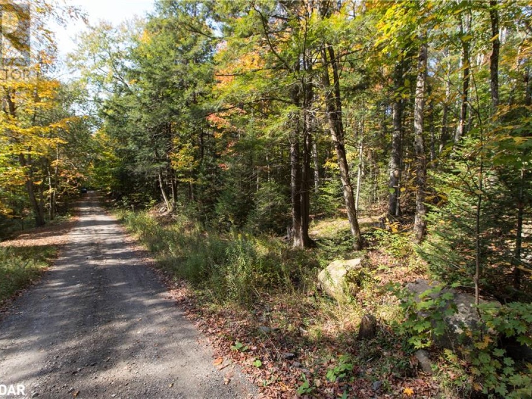 0 LYNX LAKE Road, 