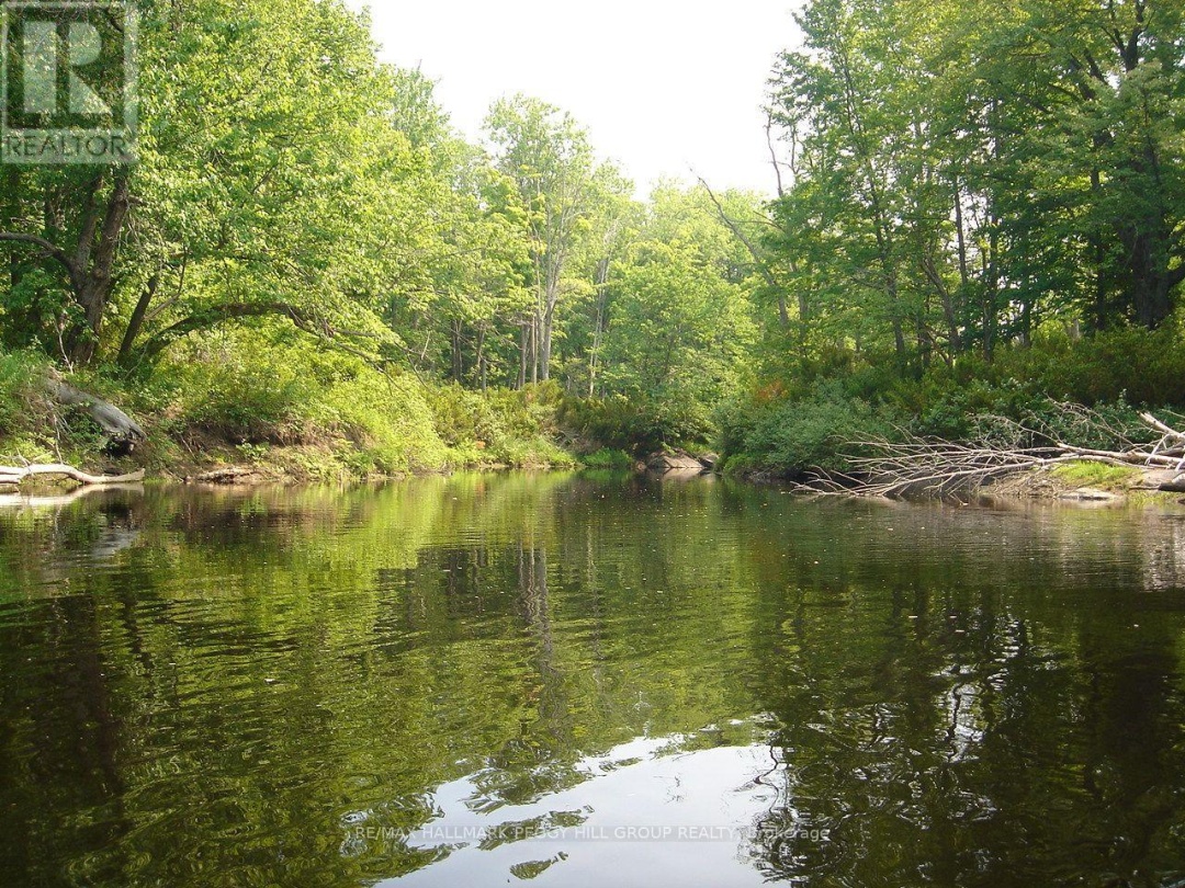 7012 COUNTY ROAD 169, Black River