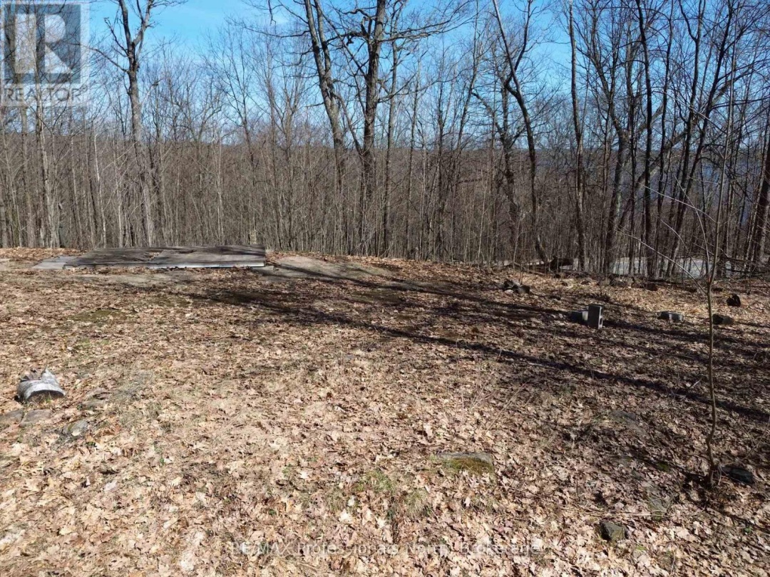 1023 LITTLE HAWK LAKE ROAD, Algonquin Highlands (Stanhope)