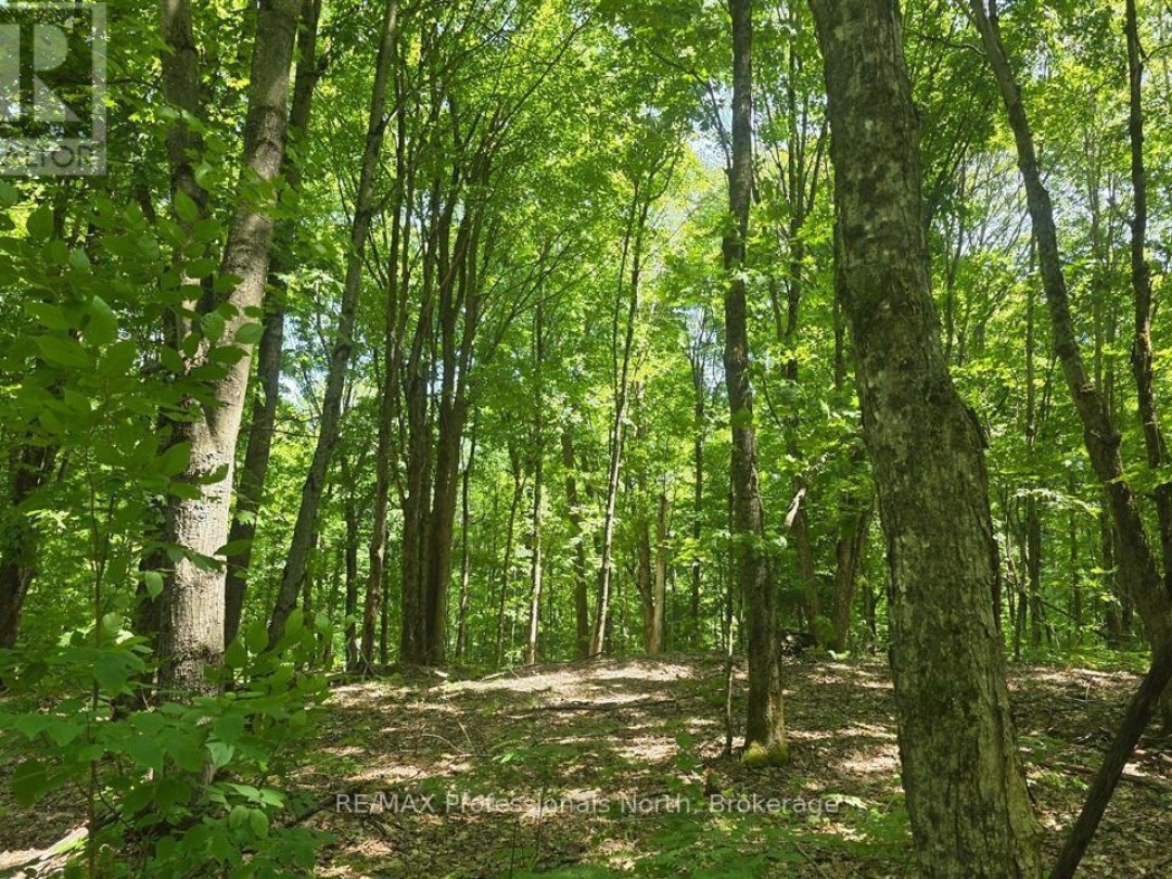 1134 WALKERS LINE ROAD, 