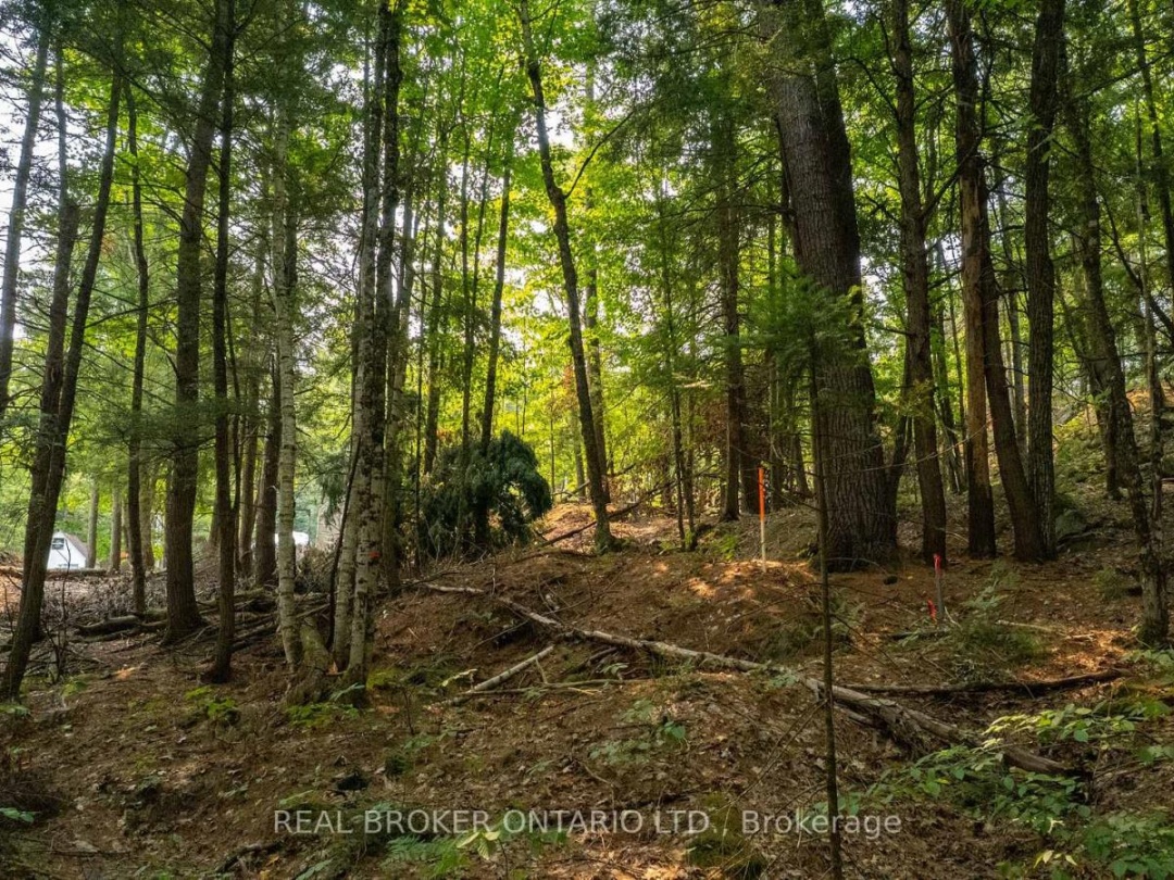 LOT 13 4 WHEEL DRIVE, Severn River