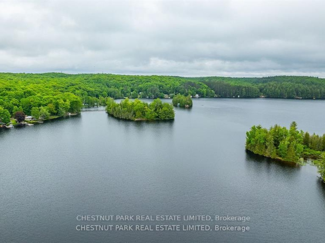 1601 CLAUDE BROWN ROAD, Bob Lake