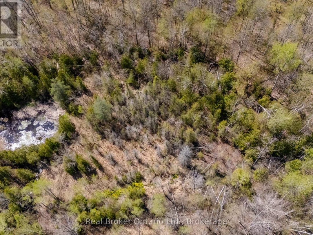 12824 COUNTY ROAD 16 ROAD, Severn