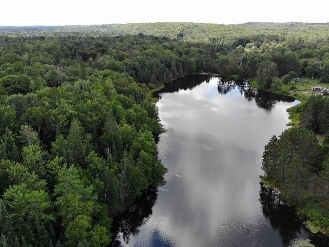 0 Tippy's Trail, Burnt River