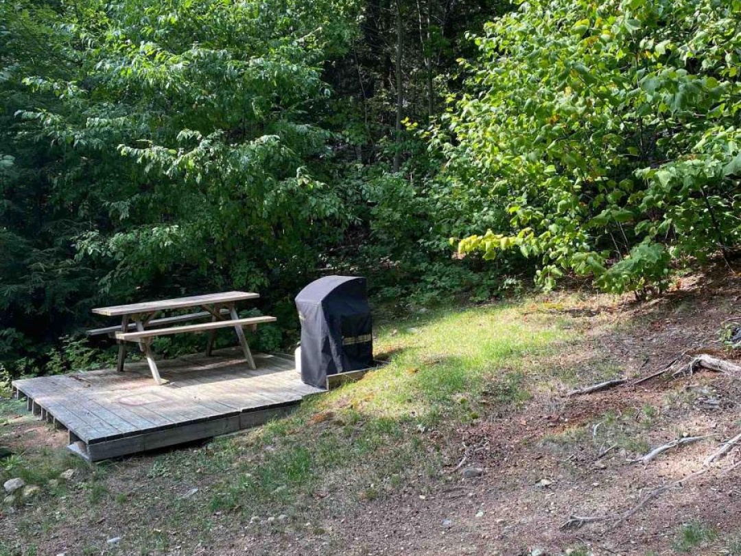 6-236 ISLAND, Otter Lake