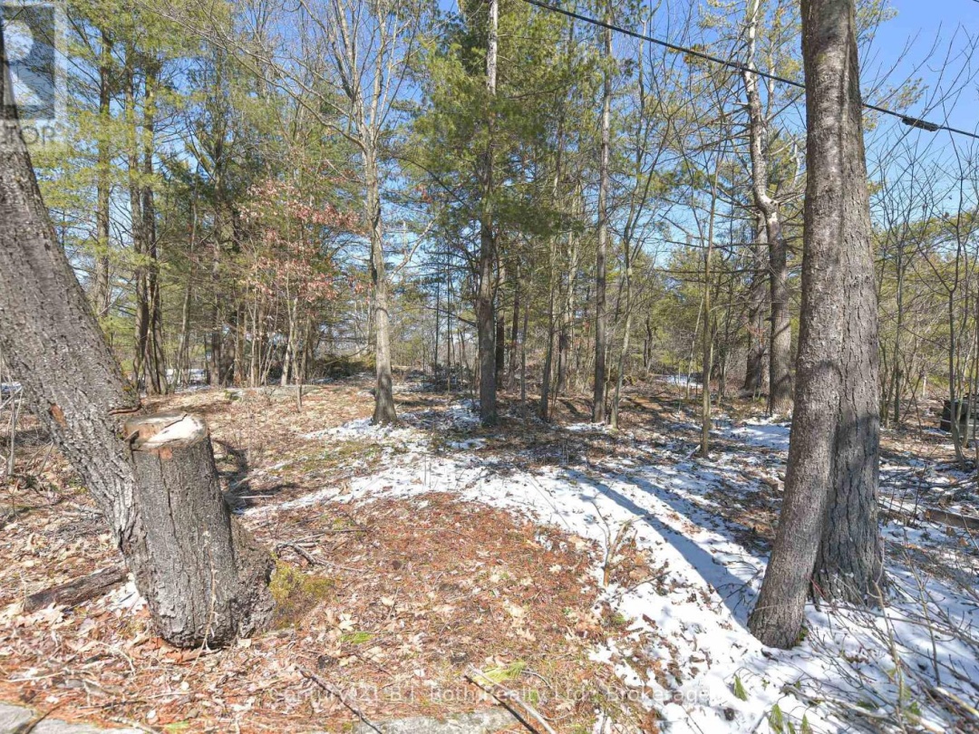 620 PINEDALE ROAD, Gravenhurst (Muskoka (S))