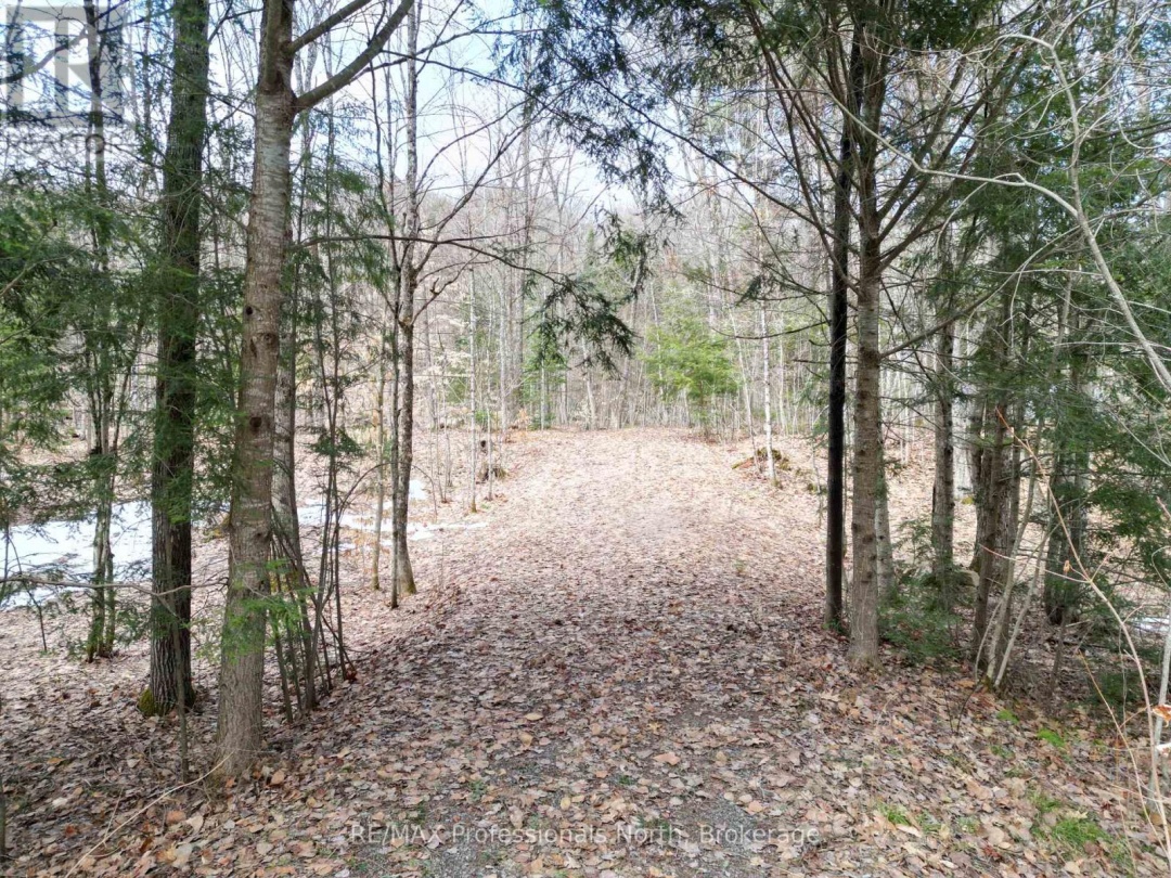1231 BIG HAWK LAKE ROAD, Algonquin Highlands (Stanhope)