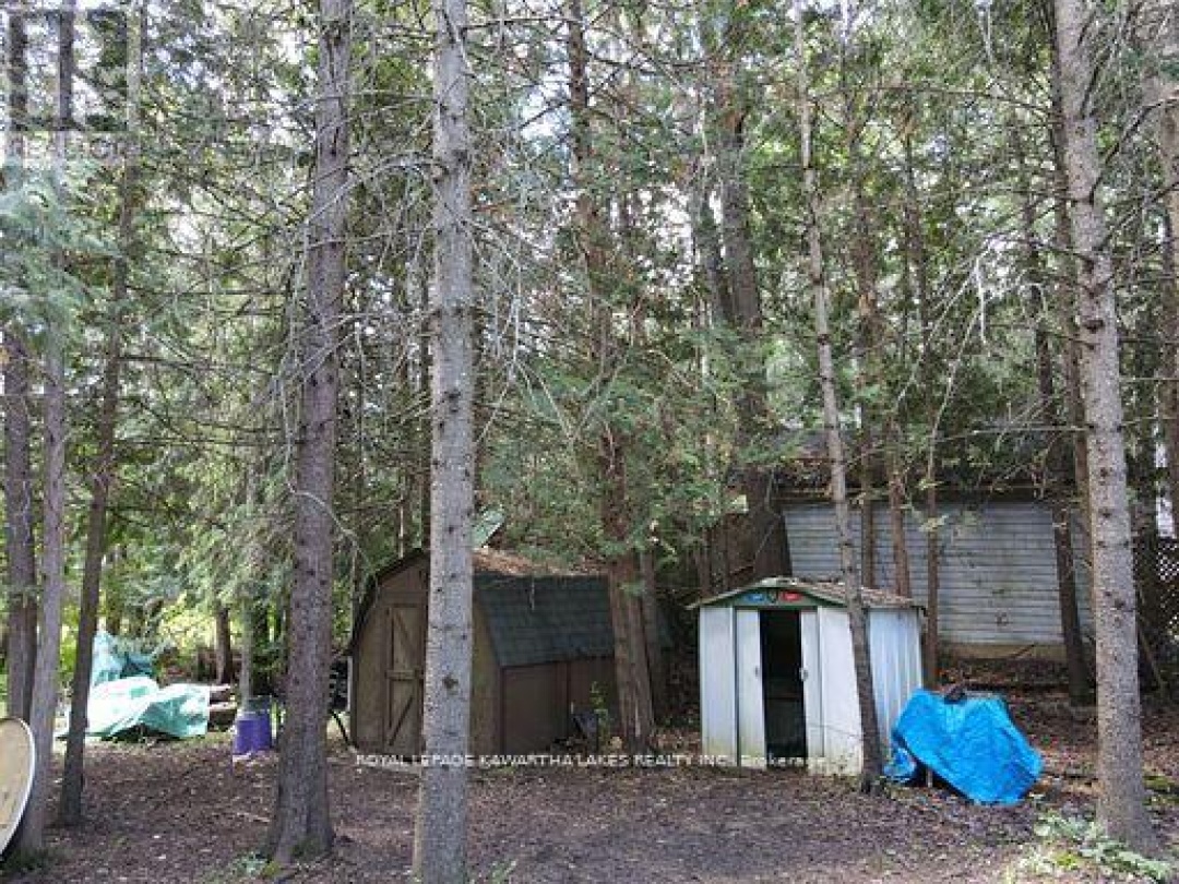 81 MCGUIRE BEACH ROAD, Trent-Severn Waterway
