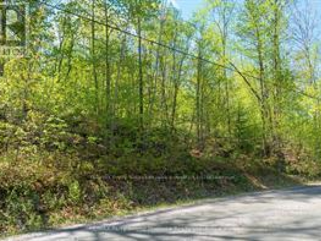 1835B LORIMER LAKE ROAD N, Whitestone (Hagerman)