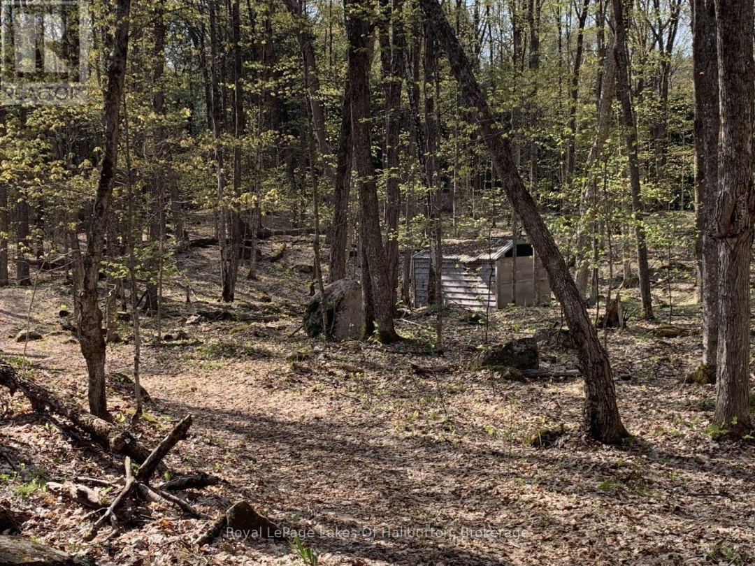 0 KASHAGAWIGAMOG LAKE ROAD, 