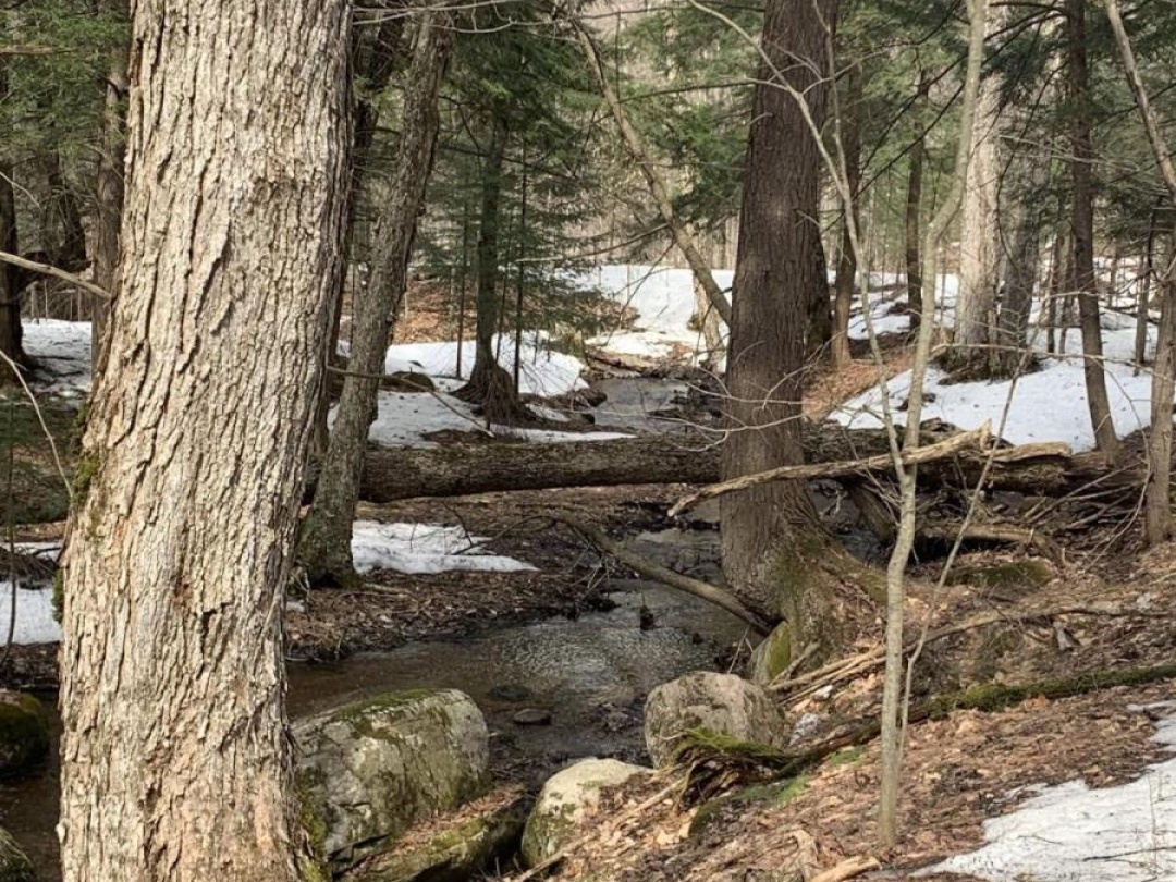 0 KASHAGAWIGAMOG LAKE ROAD, Dysart et al (Dysart)