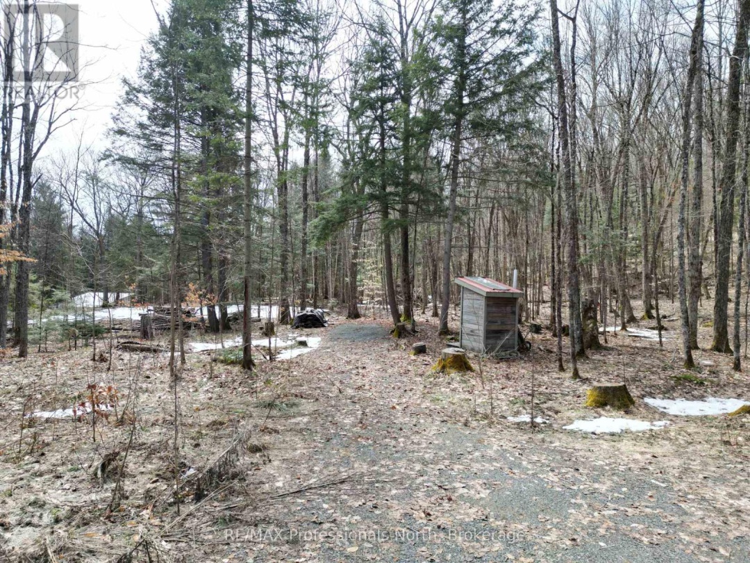 1231 BIG HAWK LAKE ROAD, Algonquin Highlands (Stanhope)