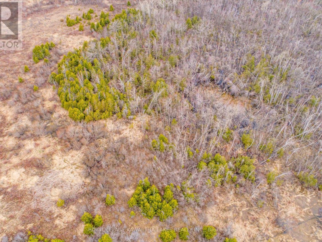 210 GRASSHILL ROAD, Kawartha Lakes (Woodville)