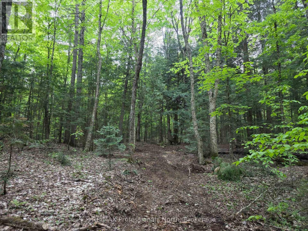 1163 25TH LINE ROAD, Algonquin Highlands (Stanhope)