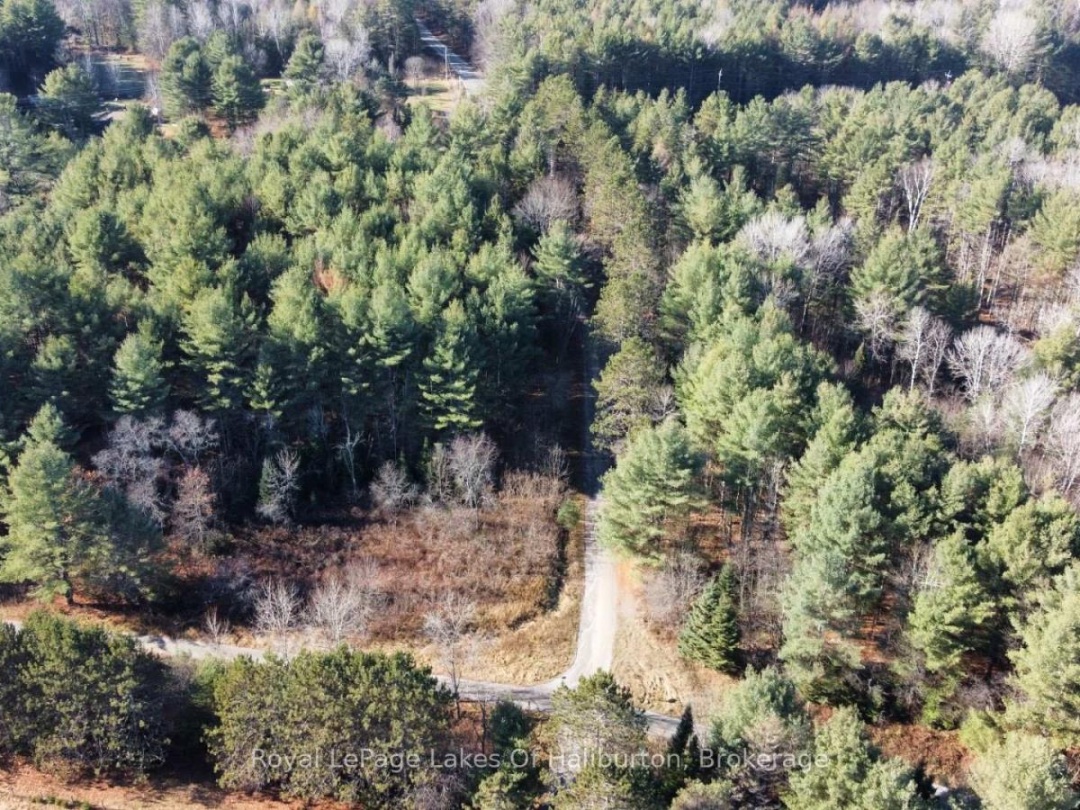 1036 PRIVET DRIVE, Burnt River