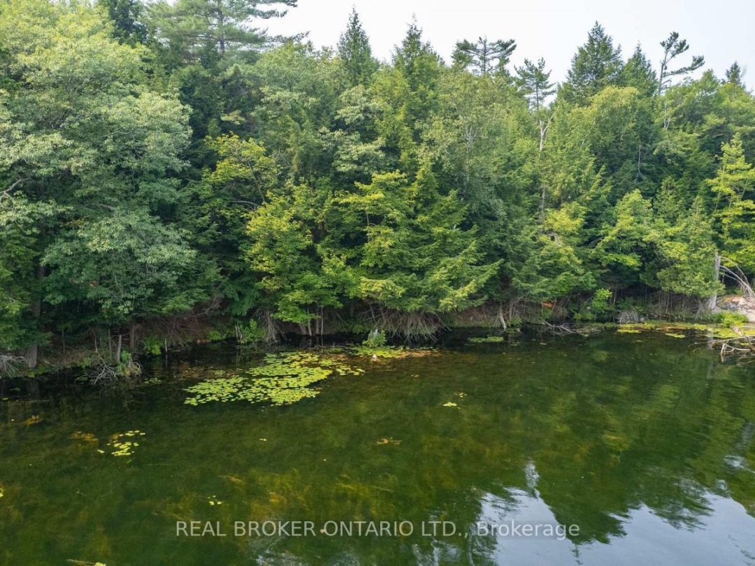 LOT 13 4 WHEEL DRIVE, Severn River