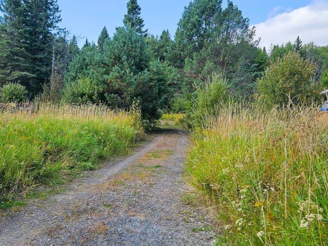 100 CHAFFEY TOWNSHIP ROAD, 
