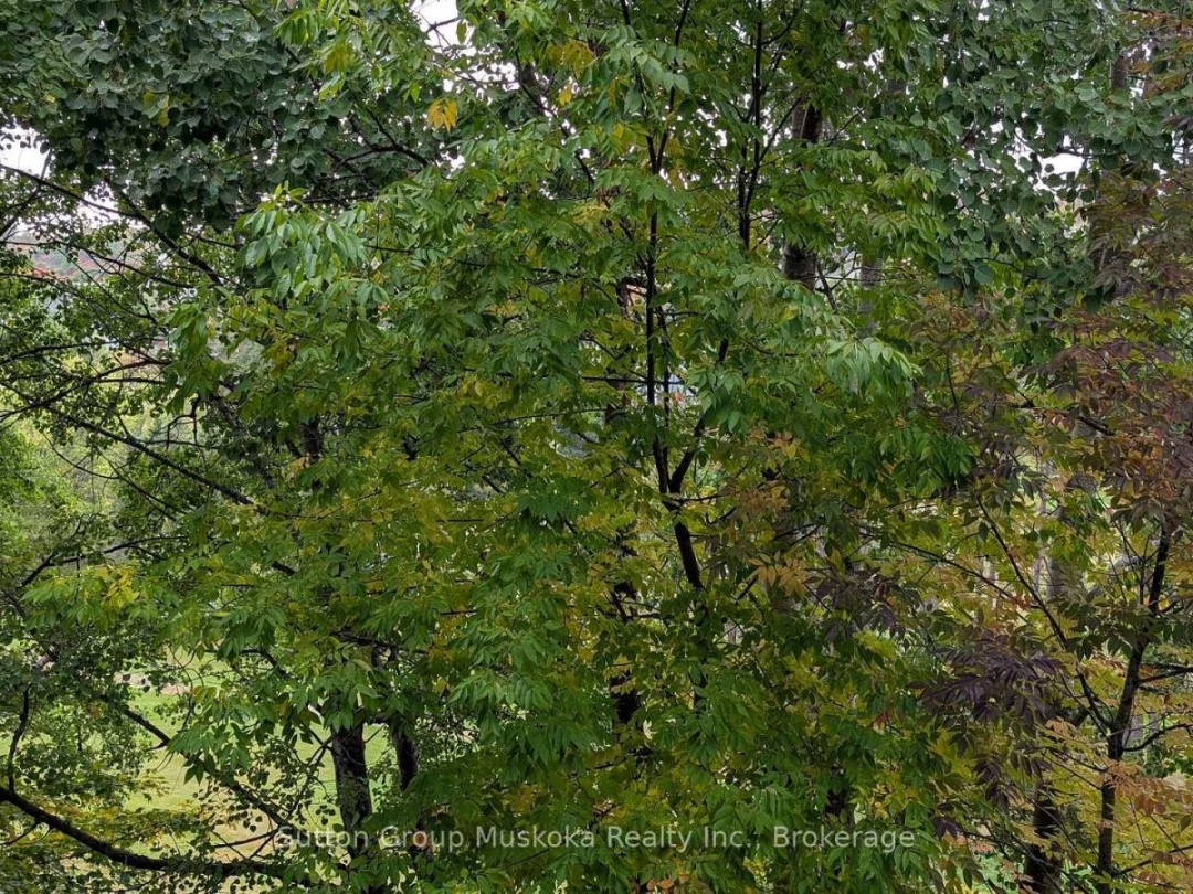 27-202 GOLFVIEW - DEERHURST DRIVE, 