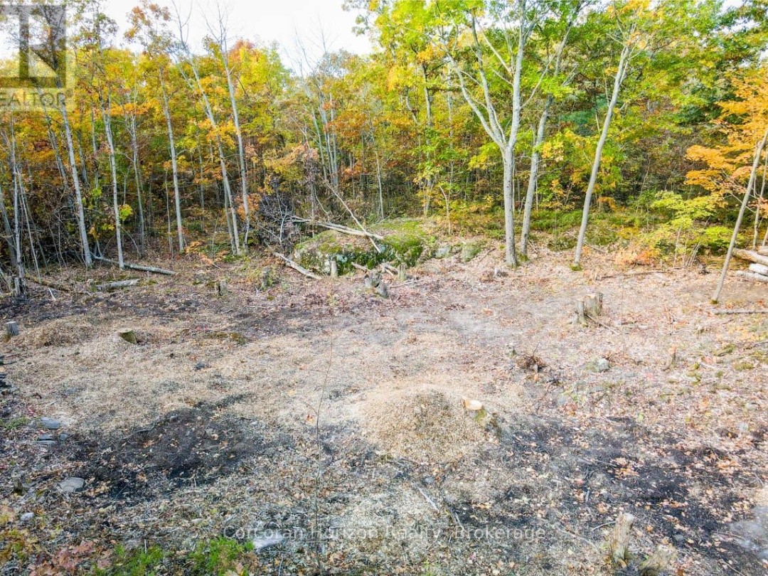 Lot A 87 Corrievale Rd, Georgian Bay (Baxter)