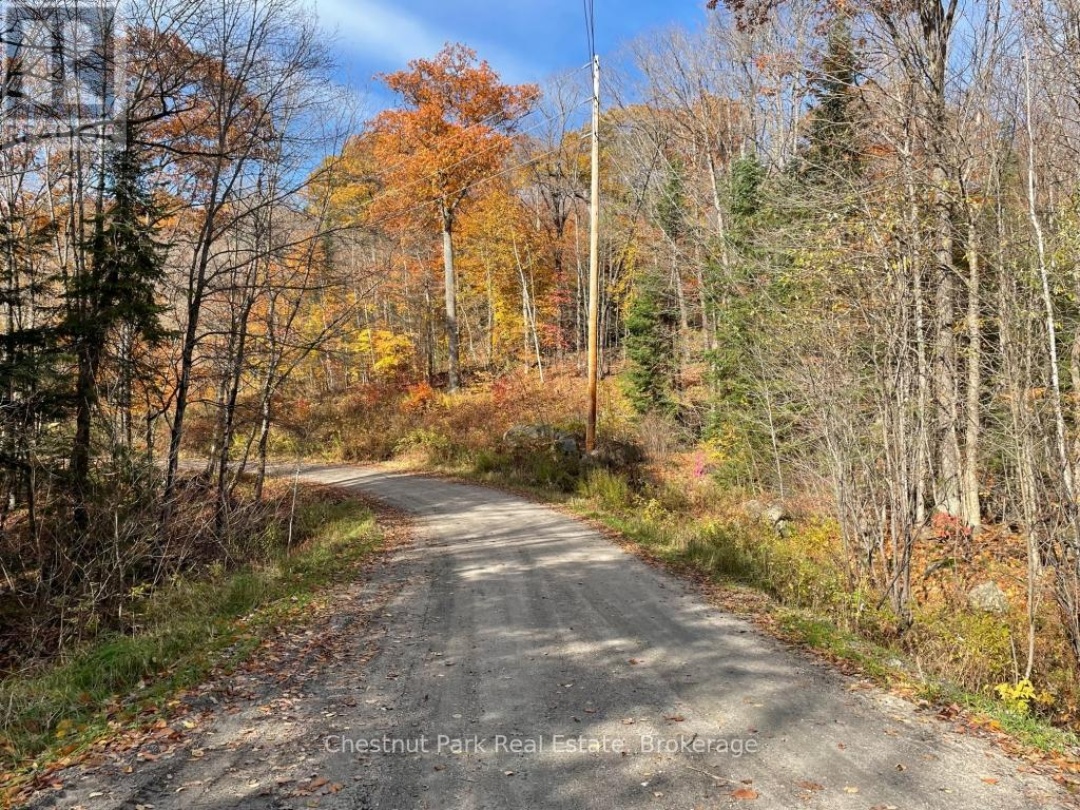 0 COLEMAN LAKE ROAD, Dysart et al (Guilford)
