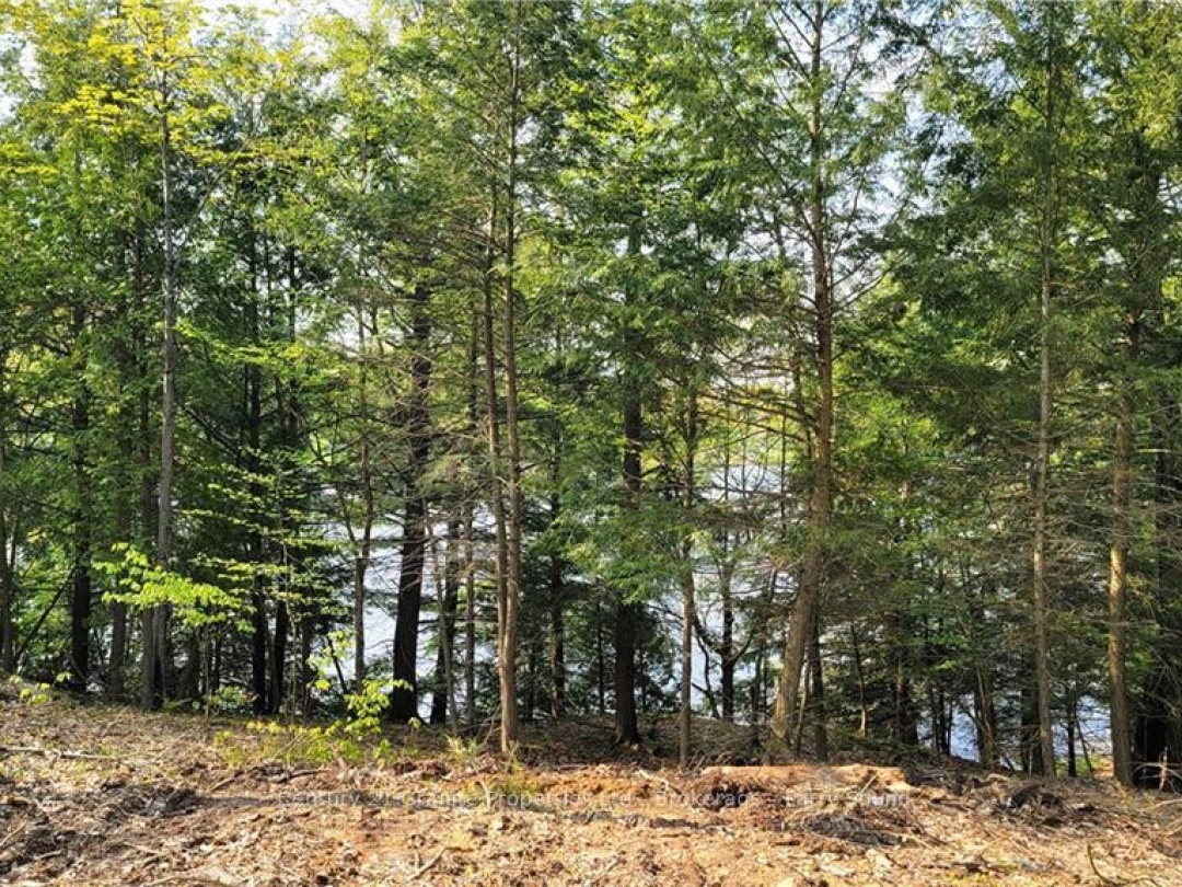 Lot2 Seguin River Estates Louisa Street, Parry Sound