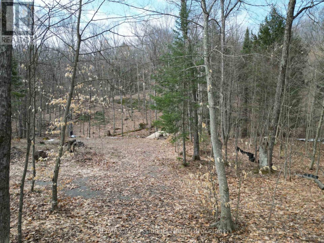 1231 BIG HAWK LAKE ROAD, Algonquin Highlands (Stanhope)