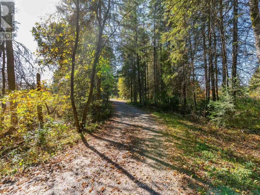4739 GELERT ROAD, 