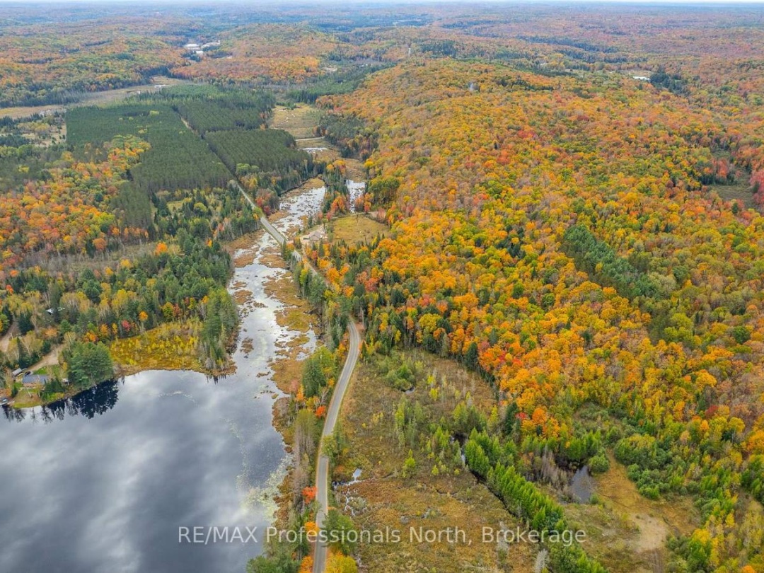 1600 BOBCAYGEON ROAD, Minden Hills (Minden)
