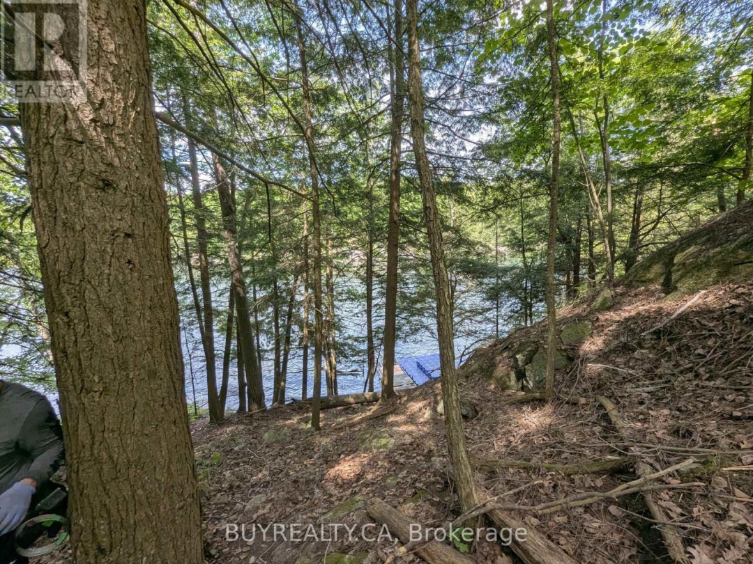 2318 SHERWOOD FOREST LANE, Severn River