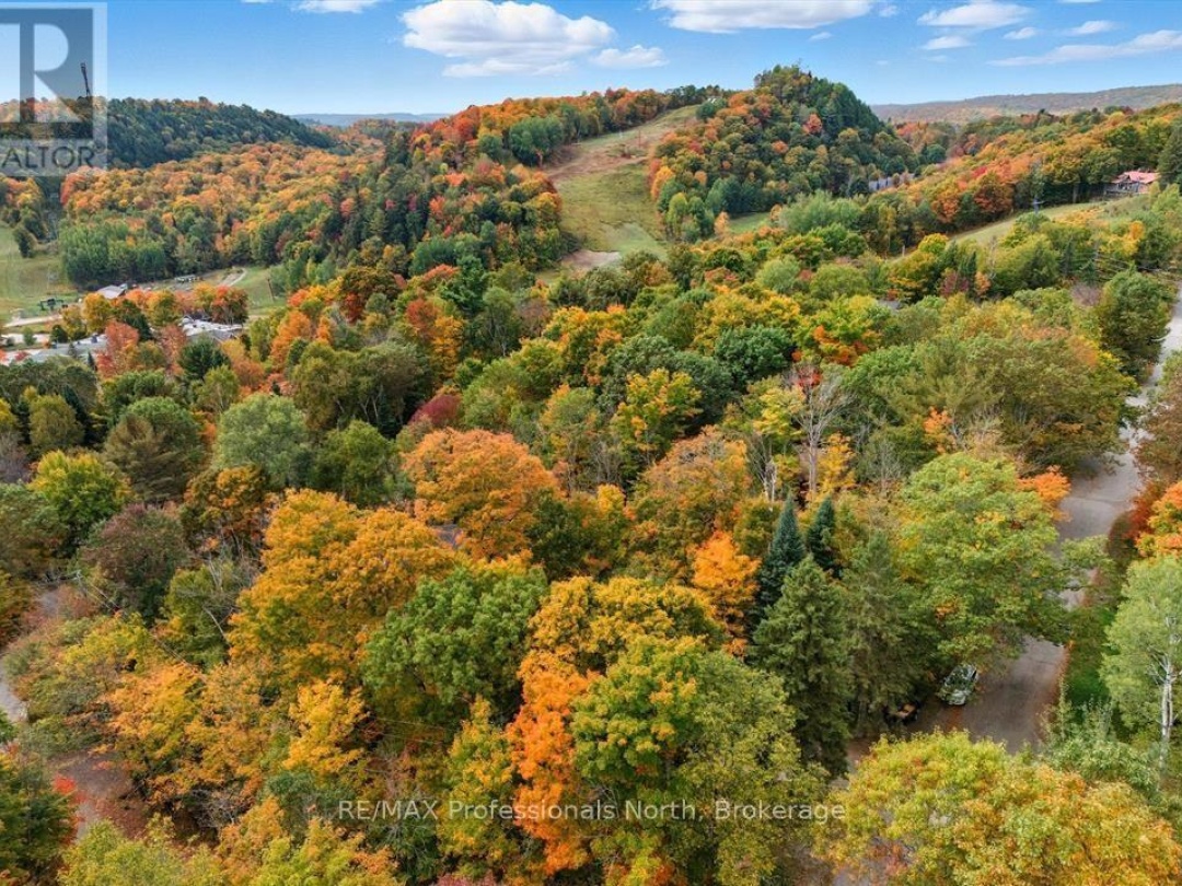 1755 SKYLINE DRIVE, Peninsula Lake