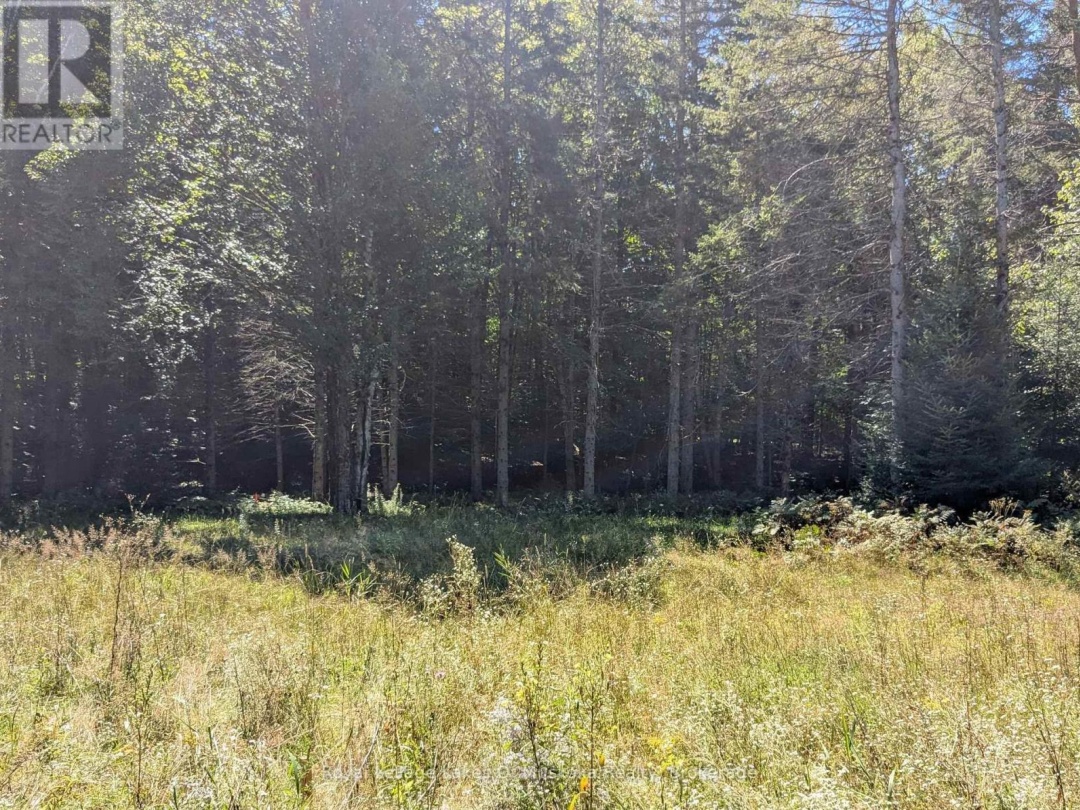 1059 ABLETT COURT, Algonquin Highlands (Stanhope)