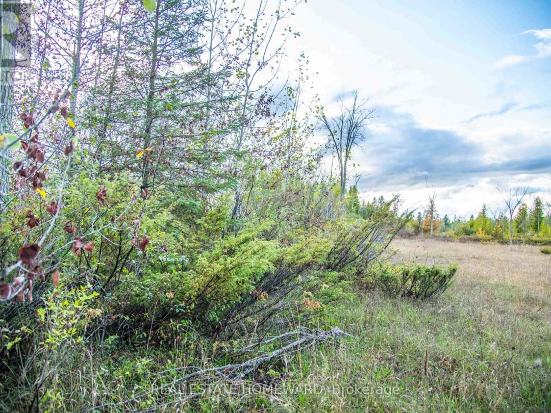 254-256 MCGUIRE BEACH ROAD, Kawartha Lakes (Carden)