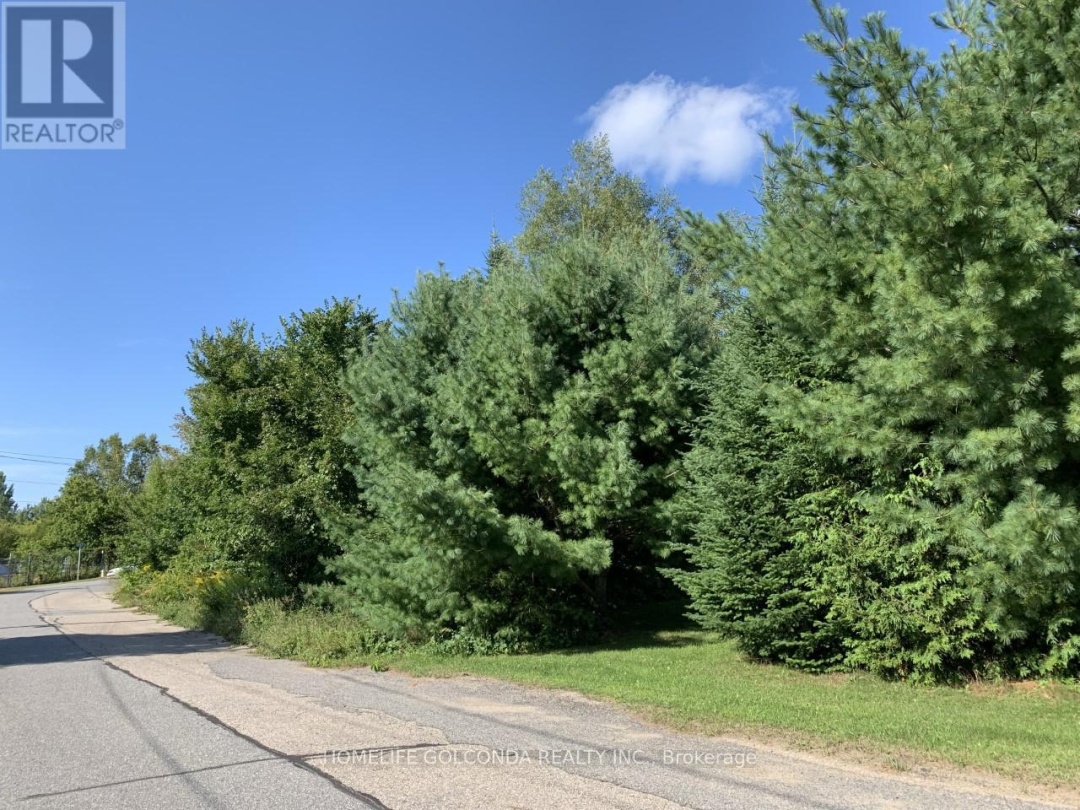 195 NELSON STREET, Gravenhurst (Muskoka (S))