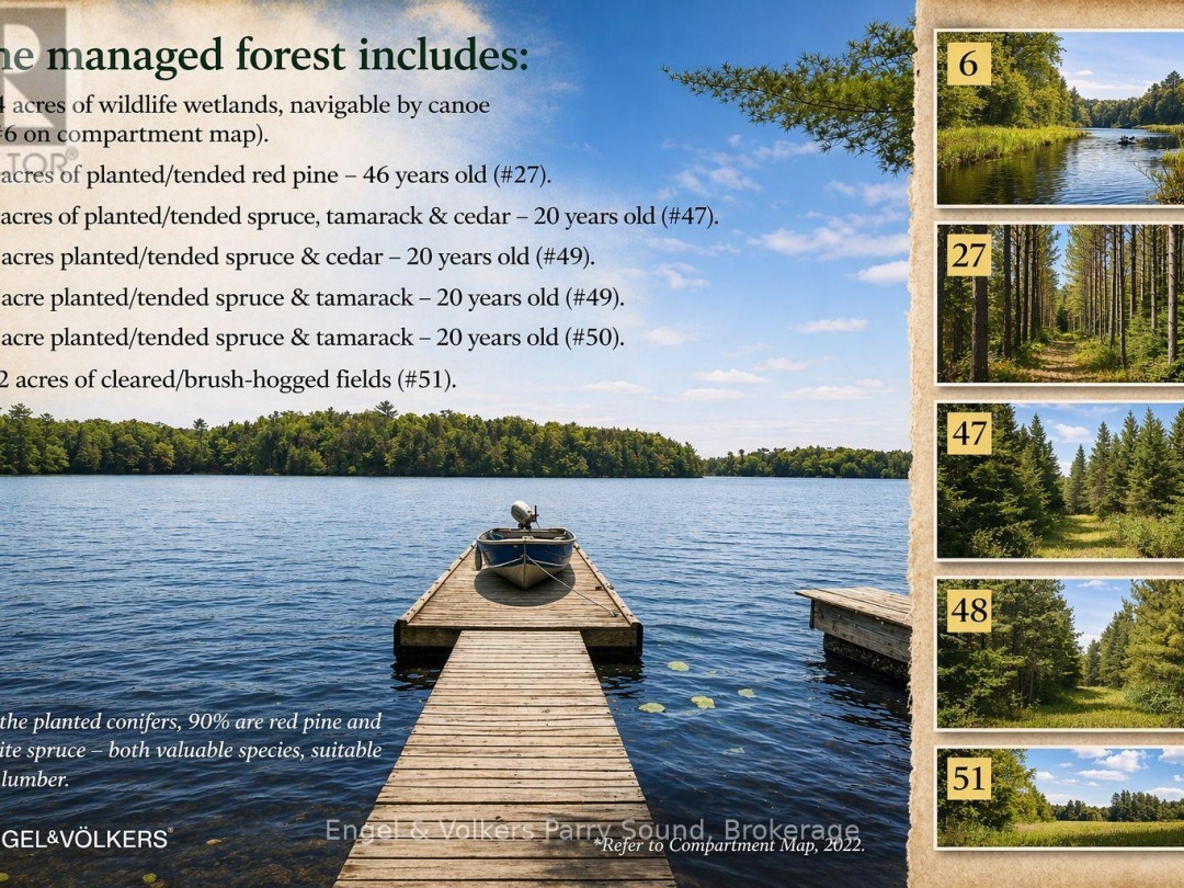 53 BIRDWOOD LANE, Harris Lake