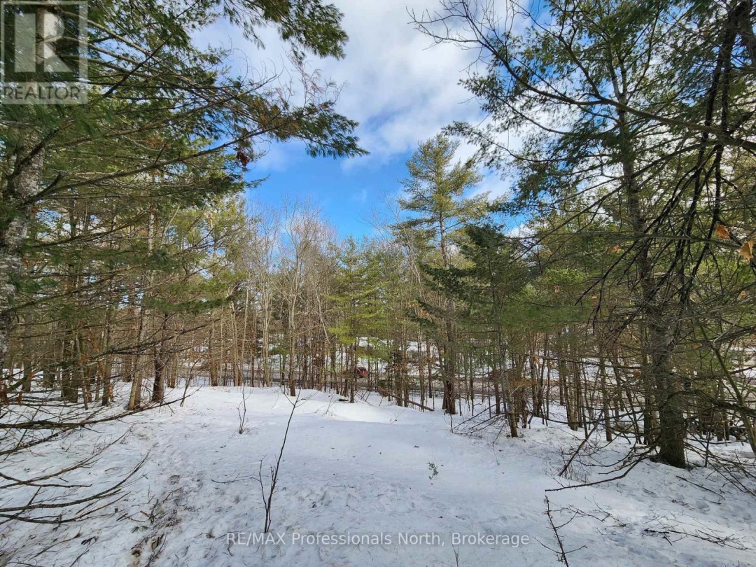 00 MANITOBA STREET, Bracebridge (Macaulay)