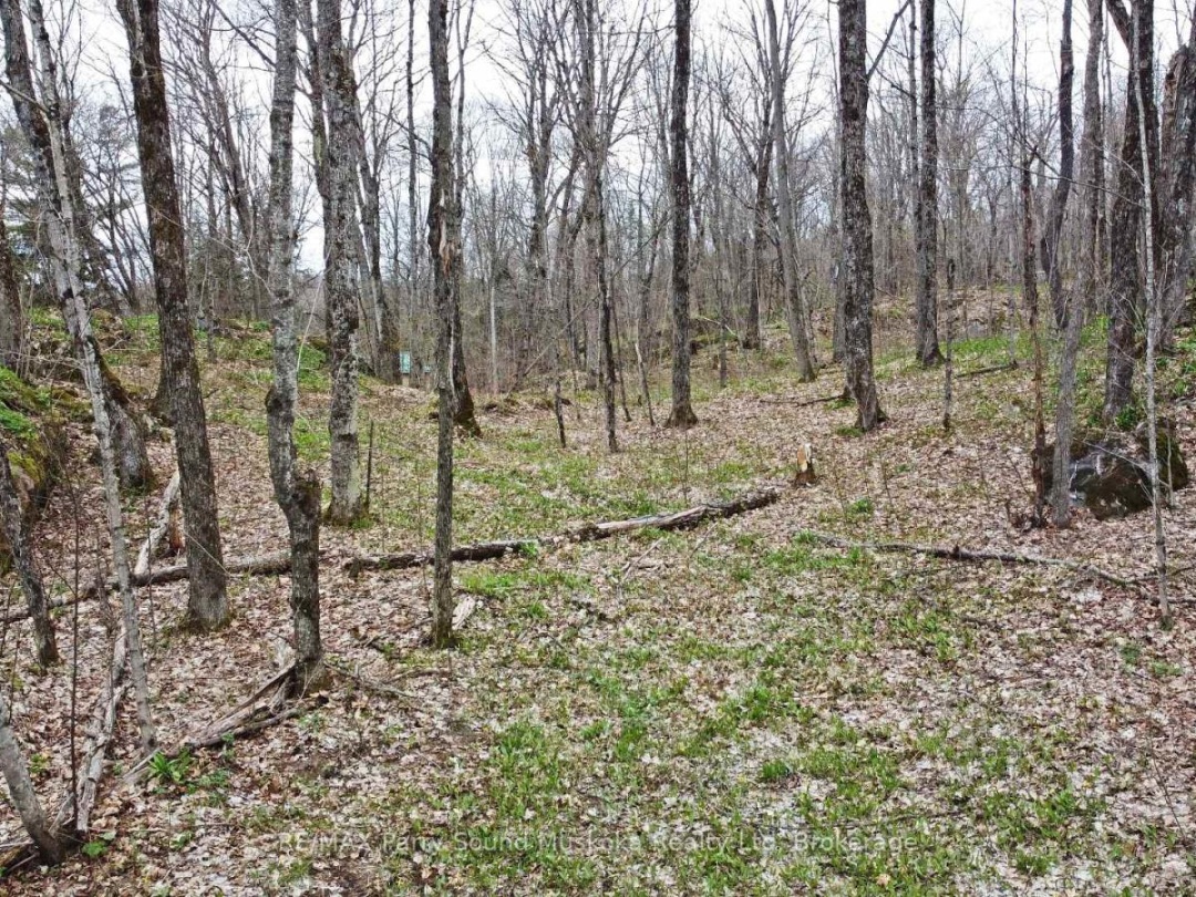 LOT 1 SHIELDS DRIVE, Horseshoe Lake