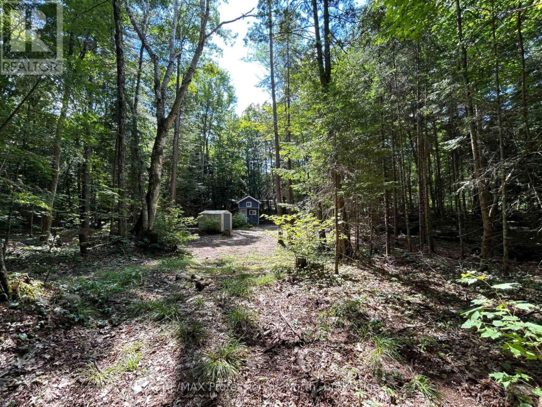1124 LITTLE HAWK LAKE ROAD, Algonquin Highlands (Stanhope)