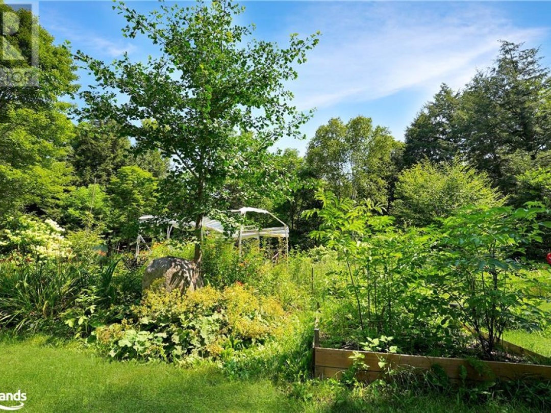 1842 Buckslide Road, Algonquin Highlands