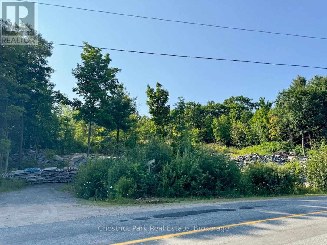 1681 MUSKOKA BEACH ROAD, 