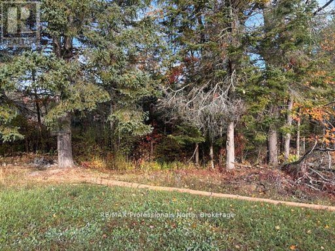 4326 COUNTY ROAD 121 ROAD, Minden Hills (Snowdon)