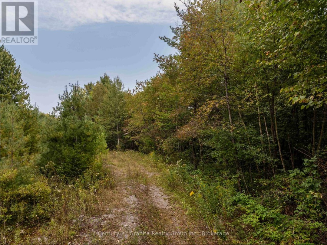4729 COUNTY ROAD 121, Minden Hills (Lutterworth)