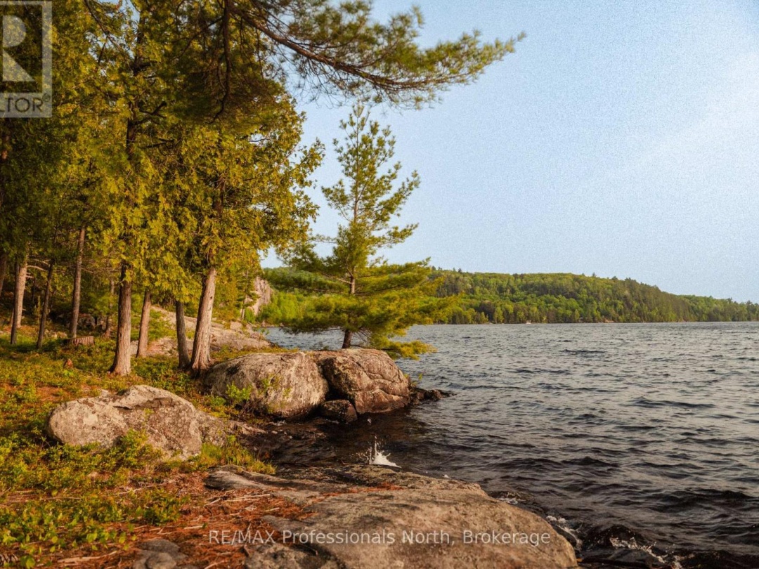 11405 DRAG LAKE EAST SHORE, 