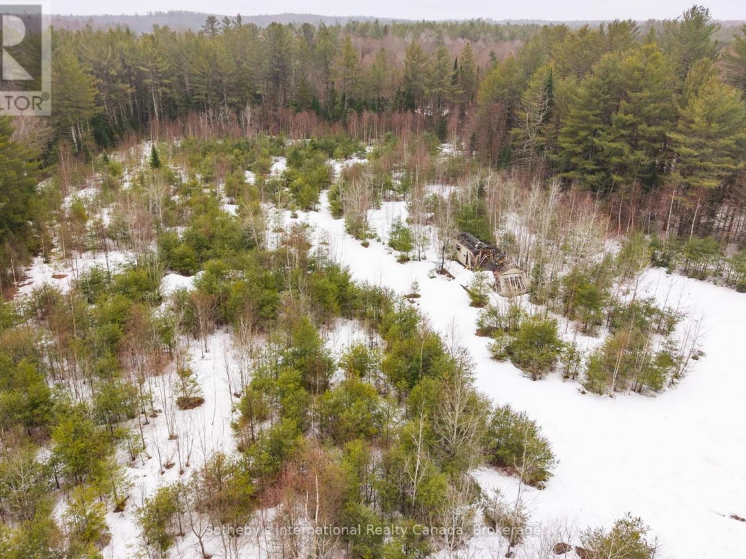 1000 ALPINE RANCH ROAD, North Branch Muskoka River