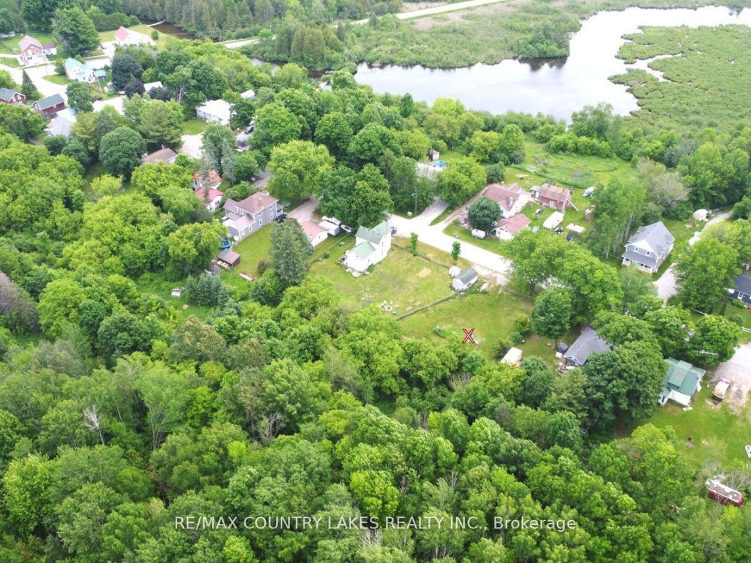 24 Richmond Street W, Kawartha Lakes (Carden)
