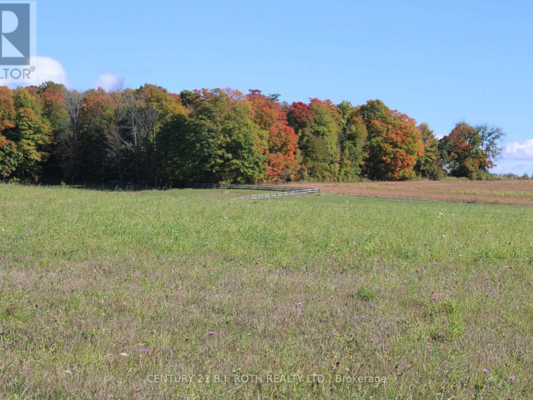 388 WOODLAND DRIVE, Oro-Medonte
