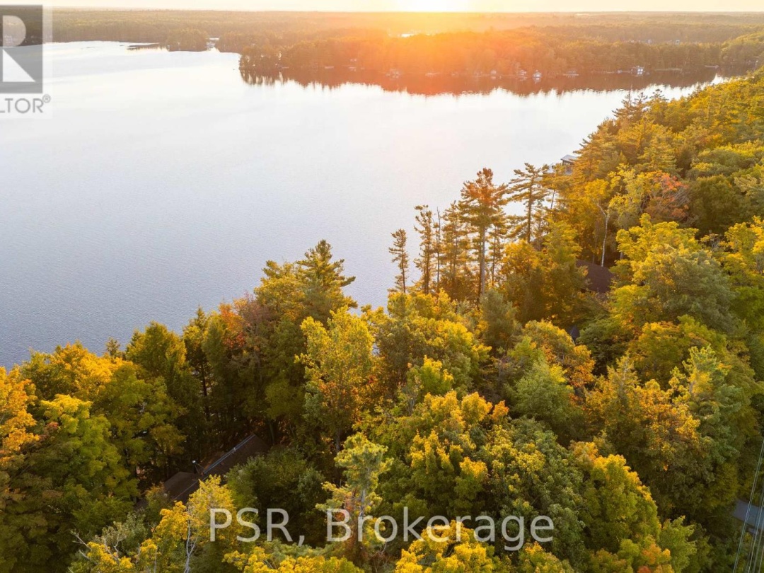 2920 MUSKOKA ROAD 169 ROAD, 