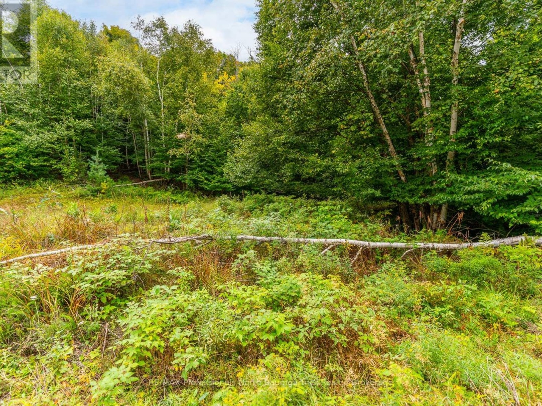 0 ADELINE TRAIL, 