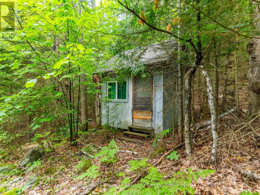 1236 GRACE ROAD, 